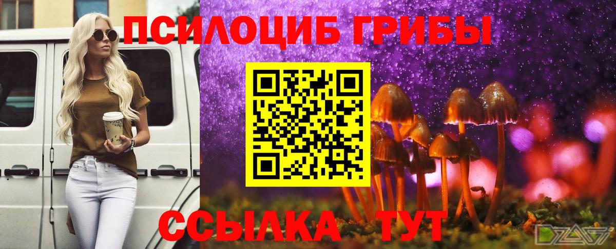 Псилоцибиновые грибы MAGIC MUSHROOMS  Вход с VPN  Мичуринск  Псилоцибиновые грибы Cubensis 